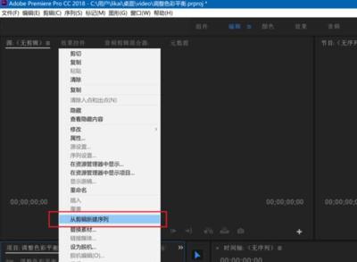 premiere如何复制画面