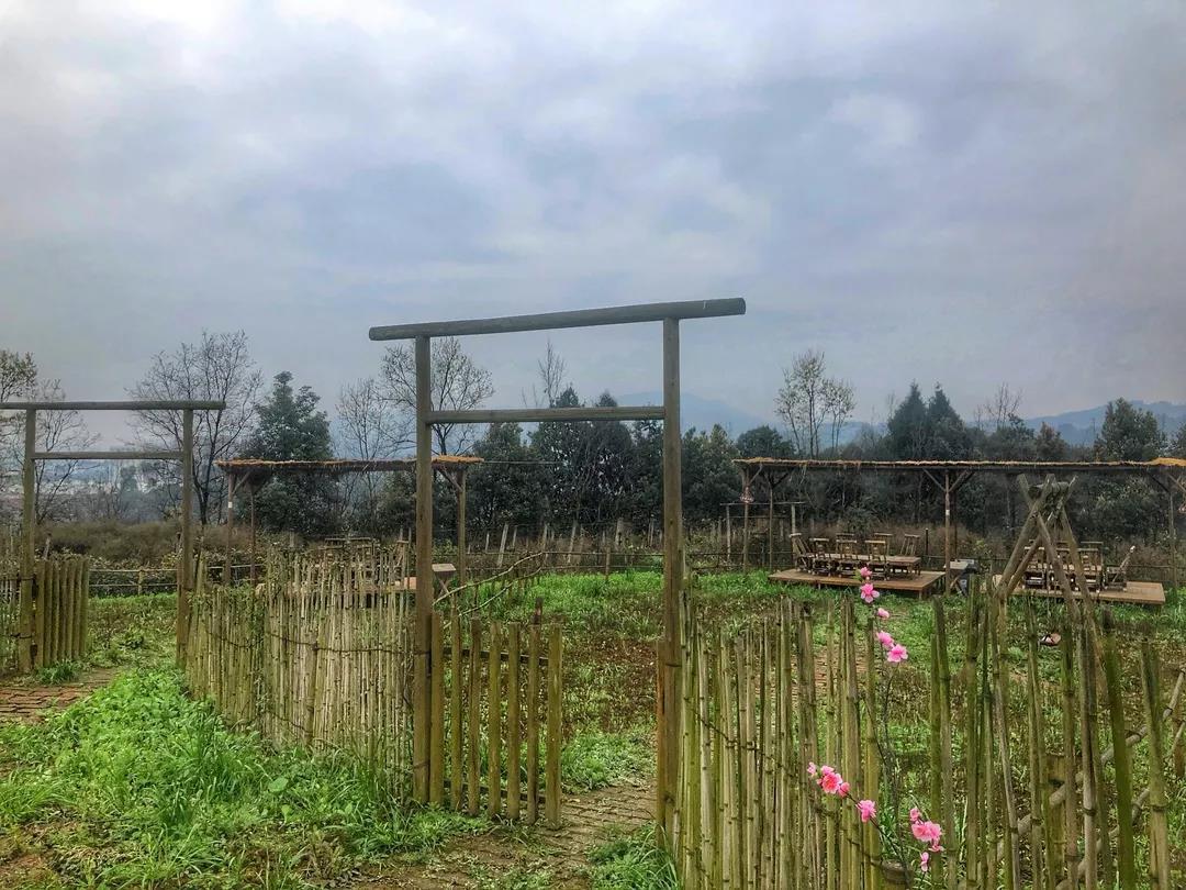 家园梦想派对种植系统怎么玩
