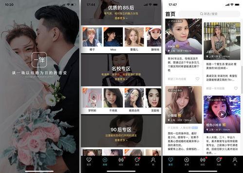 浙里办如何相亲