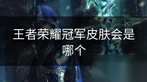 王者荣耀冠军皮肤会是哪个